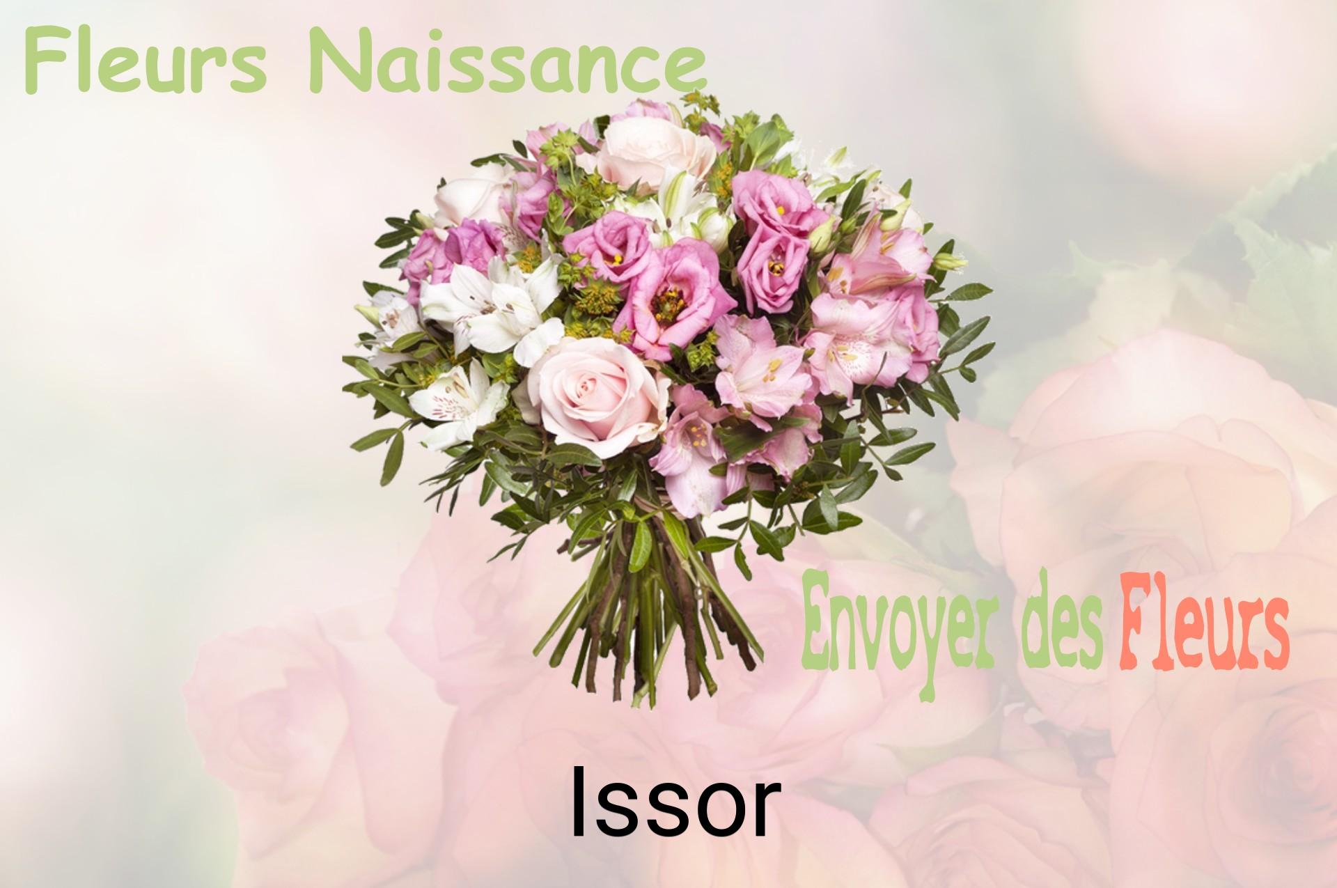 Bouquet de fleurs de naissance livré à Issor